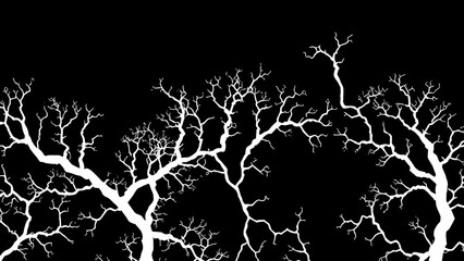 malbec. Abstract fungal mycelium network pattern with white filaments and organic branching on dark background. gardening catalogs, home-decor guides, designed for gardening and botanical catalogs.