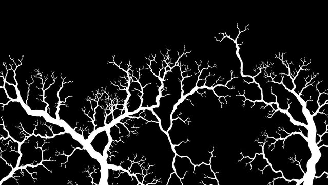 malbec. Abstract fungal mycelium network pattern with white filaments and organic branching on dark background. gardening catalogs, home-decor guides, designed for gardening and botanical catalogs.