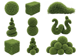 Collection of green moss sculptures diverse shapes and textures abstract nature art transparent background