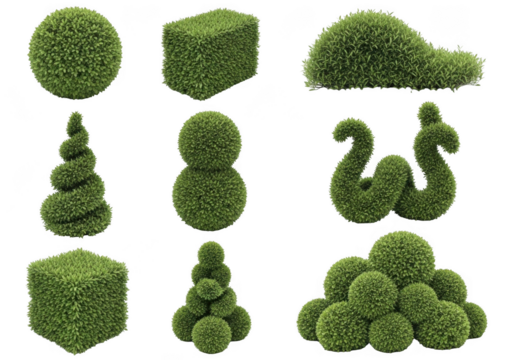 Collection of green moss sculptures diverse shapes and textures abstract nature art transparent background