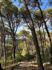 National park Porto Selvaggio