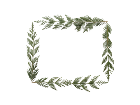 Square frame made of green fir tree branches with pine needles isolated on transparent background