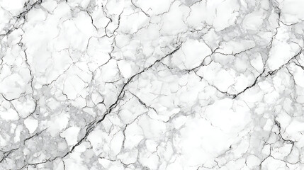 White marble texture with dark veins black