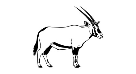 Fototapeta premium A black and white illustration of an oryx standing on a white background