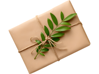 Minimalist eco-friendly gift box wrapped in kraft paper and decorated with green leaves isolated on transparent background, perfect for sustainable holiday design.