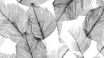 Exotic floral sketch vector with summer leaves and jungle plants drawn in black and white hand drawn grunge texture style © Bryan
