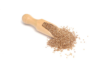 Gluten-free Kodo millet spilled out of wooden scoop