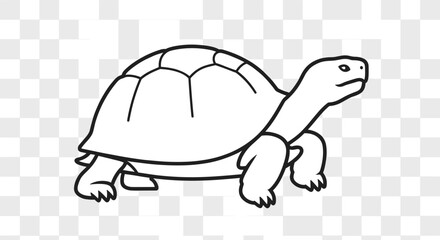 Simple Outline Drawing of a Tortoise on a Transparent Background.