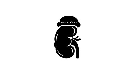Stylized Kidney Icon with Hat Medical Concept.