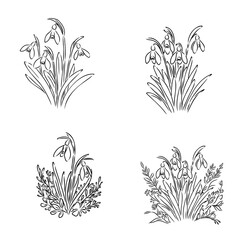 snowdrops, vector sketch