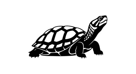Detailed Black and White Turtle Illustration on White Background.
