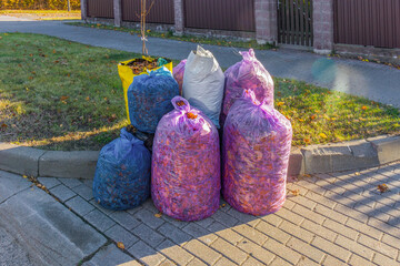 Colorful garbage bags in shades of purple and blue, neatly stacked along the sidewalk.