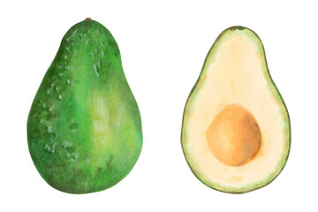 Whole avocado and halves. Botanical illustration with watercolor and marker. Hand drawn isolated art. Fruit for food or cosmetic packaging design, menus. Cookbook