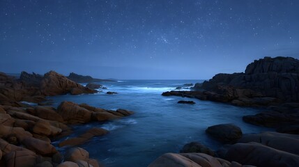 A rugged rocky coastline under a vast starlit night sky with gentle ocean waves meeting the shore