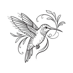 Elegant Black and White Hummingbird Line Art Vector