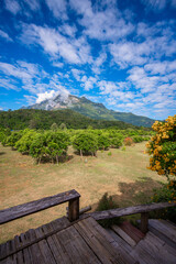 Mountain and hill landscape with green trees blue sky at Doi Luang Chiang Dao, mountain hill , Chiang Mai, Thailand