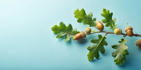 Oak branch with acorns on a light blue background, showcasing vibrant green leaves and mature acorns, perfect for autumnal themes and nature-inspired designs.