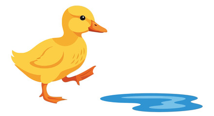 Cute Cartoon Duckling Walking Towards a Puddle of Water on White Background