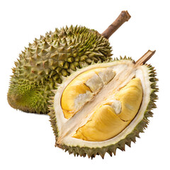 Fototapeta premium A whole durian fruit isolated on a transparent background 