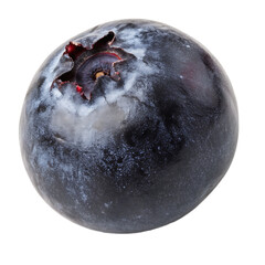 A whole elderberry isolated on a transparent background
