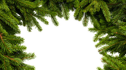 Obraz premium Festive border made of evergreen branches and firs forming a photo frame isolated on white background