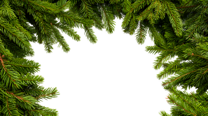 Festive border made of evergreen branches and firs forming a photo frame isolated on white background