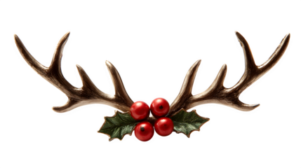 Festive reindeer antlers with shiny red nose and holly detail isolated on white background