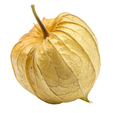 A whole nance fruit isolated on a transparent background
