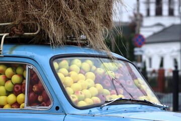 A car with hay on the roof, with a full interior of yellow and burgundy apples against the background of a white church