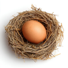 Brown egg in dry hay nest on white background with natural texture