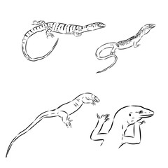 Obraz premium tree lizard, vector sketch