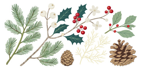 Vector illustration of christmas  assortment of festive winter foliage with pinecones and berries
