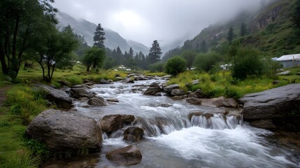 A mountain stream flows through rocks and greenery under a foggy sky