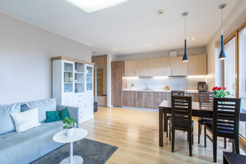 Modern Home Interior of Open Living Space with Kitchen and Dining Area