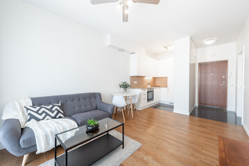Modern Minimalist Home Living Room Space with Kitchen and Comfortable Lounge Area