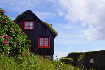 Traditional old houses with grass on the roof and painted black with tar on the Faroe Islands