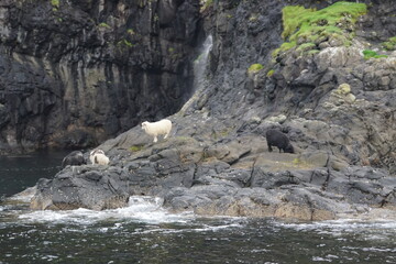 The steep and dramatic coastline around the Vestmanna Cliffs in the Atlantic Ocean off the Faroe Islands © ChrisOvergaard