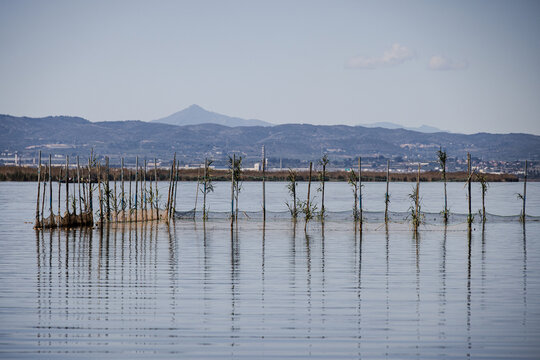 Reflections on the water in Parque Natural de la Albufera (The Albufera Natural Park), El Palmar, Valencia, Spain