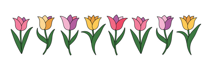 Simple cartoon tulip flowers vector art, a colorful row of spring blossoms on white. isolated on white background © Mahir