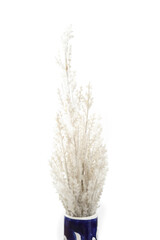 Artificial white twig or fern decoration. Blue and white bud vase with artificial plant decoration. Selective focus. White background.