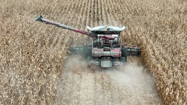 Arial view of a combine moving through a corn field harvesting corn
