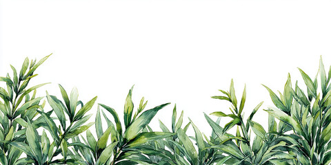 Fototapeta premium Watercolor botanical frame of lemongrass leaves forming a soft green top border, ideal for herbal or spa banner design.