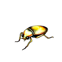 Dynamic Watercolor Illustration of Cockroach in Artistic Style, Nature Environment, Close-Up View