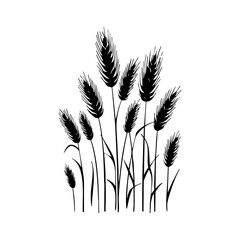 Wheat stalks representing agriculture, grain harvest, rural farming, and natural food production.