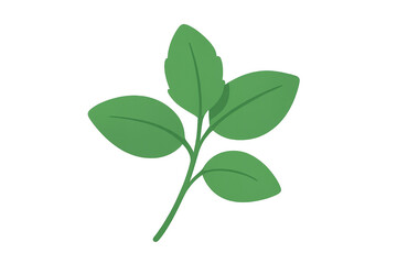 Green plant sprig with fresh leaves growing, symbolizing nature, ecology, and organic health, on transparent background