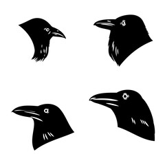 Obraz premium crow, black bird, vector sketch