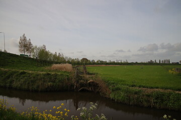 Meadows and country roads in the Zuidplaspolder