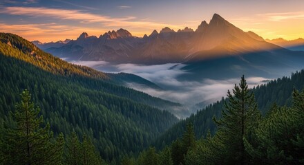Obraz premium Dramatic Golden Hour Sunrise over Misty Mountain Valleys and Dense Alpine Forests
