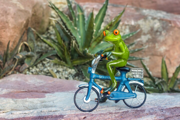 Green frog on a blue bicycle in front of rocks and plants