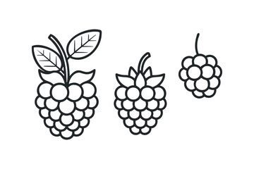 Three stylized raspberries with leaves, white background